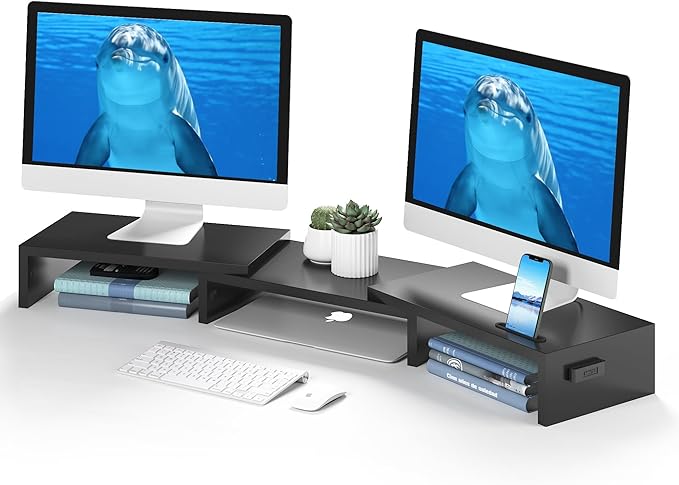BONTEC Dual Monitor Stand